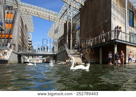 Oslo, Norway - July 24, 2018: Swimming Beach In City Center, Tjuvholmen. Swan In City Beach. Astrup 
