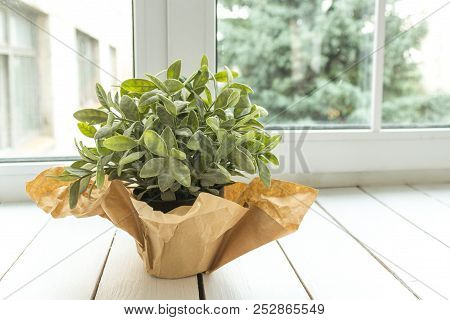 An Artificial Flower In A Pot Decorated With Brown Paper On A Light Window Sill. Flower For Office C