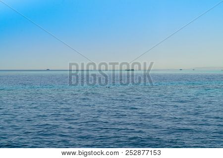 Blue Water Of The Red Sea Ships Away And Two Dolphins