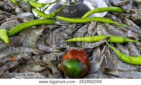 Fresh Shrimps With Green And Red Pepper