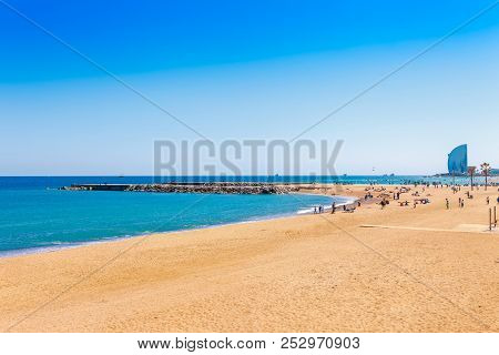 Barceloneta Beach In Barcelona. Nice Sand Beach With Palms. Sunny Bright Day With Blue Sky. Famous T