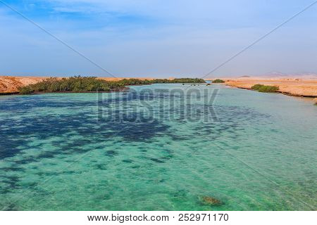 Sea Coast And Mangroves In The Ras Mohammed National Park. Famous Travel Destionation In Desert. Sha
