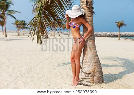 Sexy Beautiful Tanned Woman Relaxing And Sunbathing In Bikini On Sea Background And Palm. Panoramic 