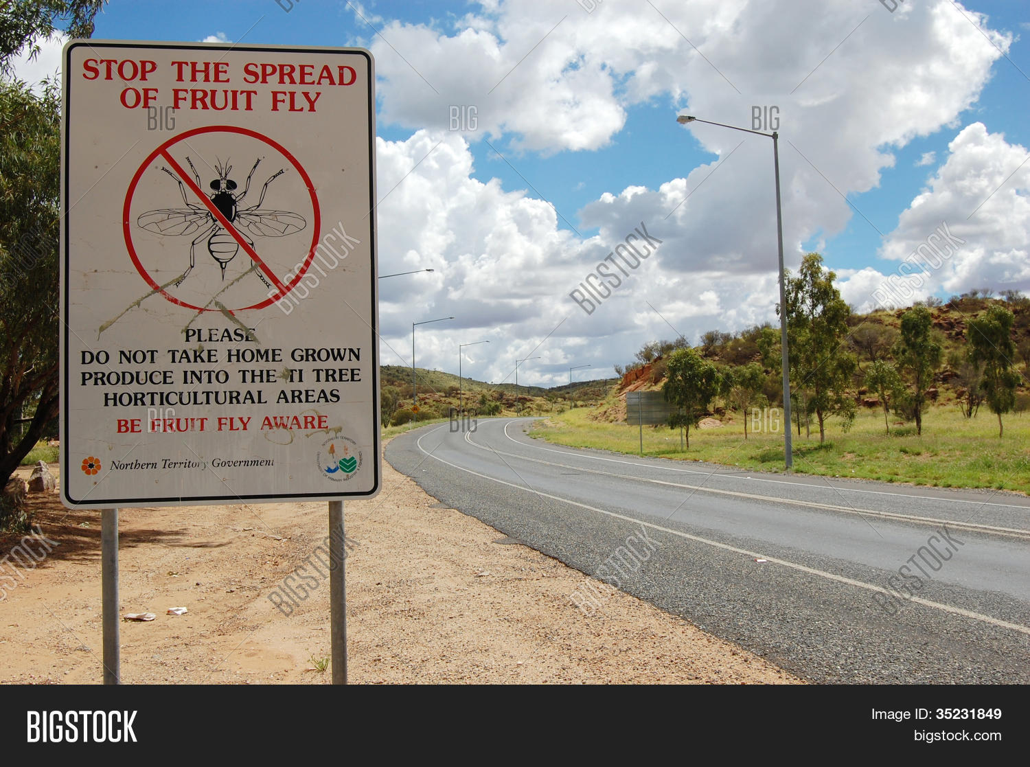 Муха на бумаге. Fly please. Fly please. Как сделать fly. Firefly перевод.