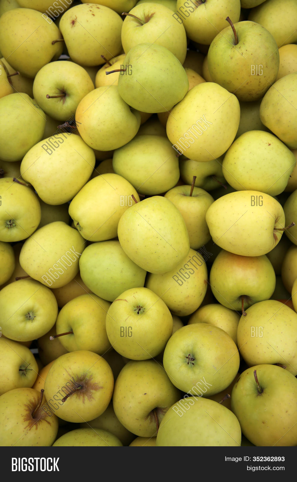Golden Delicious Image Photo Free Trial Bigstock