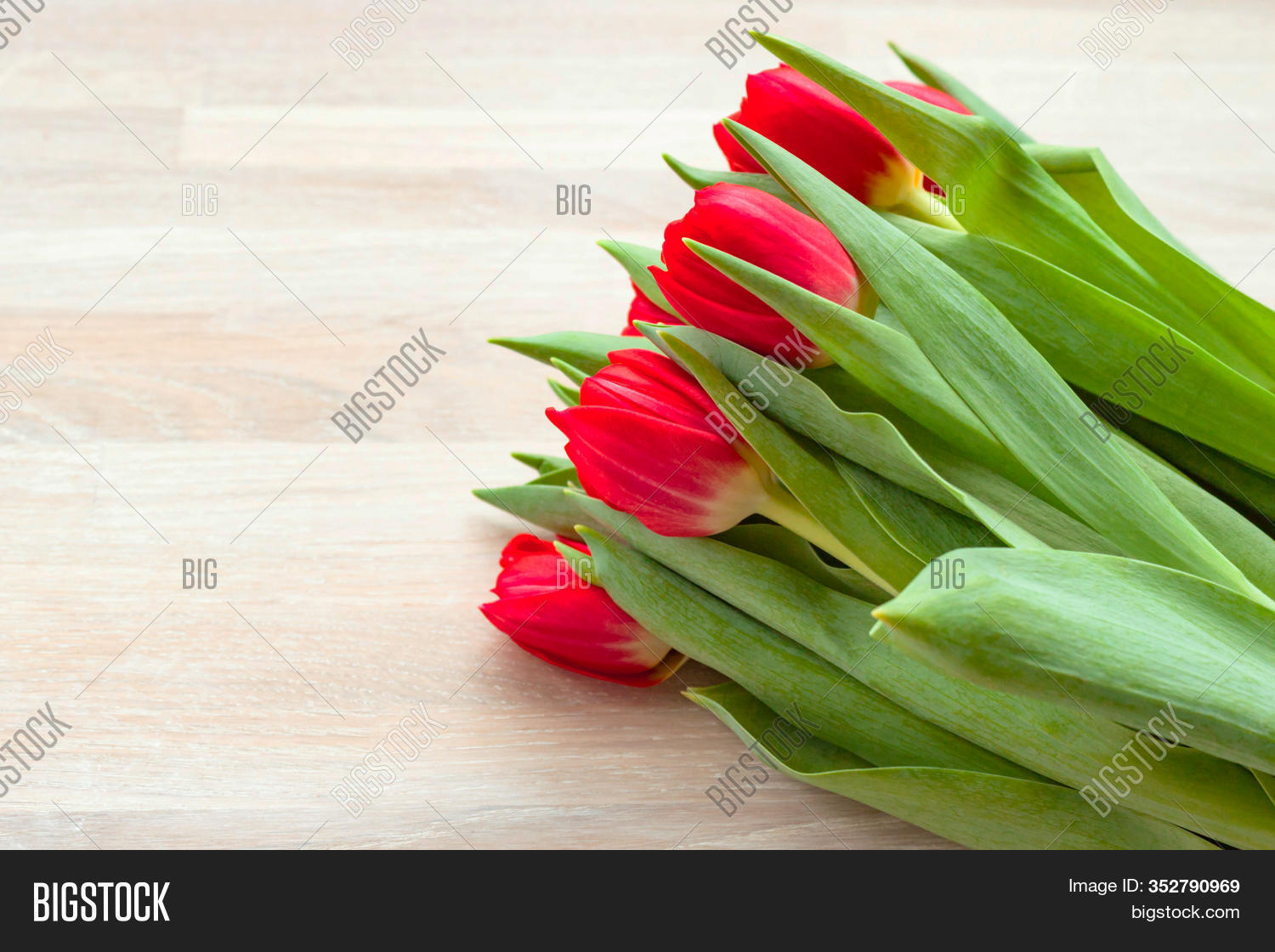Red Tulip Flowers Gift Image & Photo (Free Trial) Bigstock