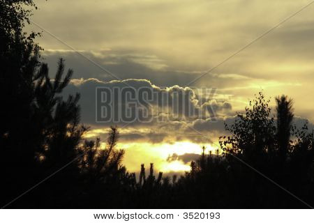 Zonsondergang In het bos