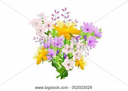 Flower Bouquet Isolated On White Background. Spring Garden Flowers For International Womens Day, Wed