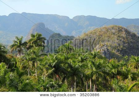 Cuba - Parque Nacional de Viñales