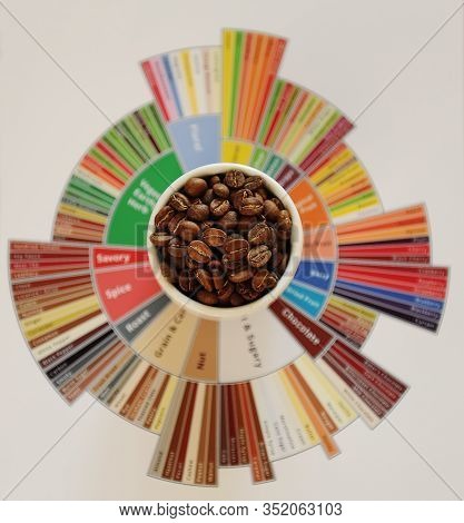 Specialty Coffee Concept. Roasted Coffee Beans In White Cup On Tasters Flavor Wheel. Top View