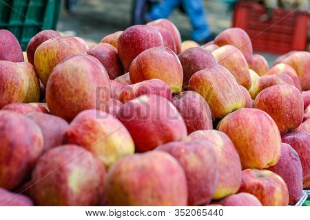 A Bunch Of Whole Ripe Apple In Fruit Market