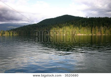 Árvores sobre o Lago