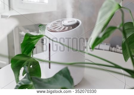White Air Humidifier Spreading Steam On Houseplant. Humidification Of Dry Air. Selective Focus. Air 