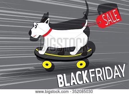 Black Friday Banner. Cute Dog Rides On Skateboard. Sale Of Goods In Pet Store. Template For Use On F