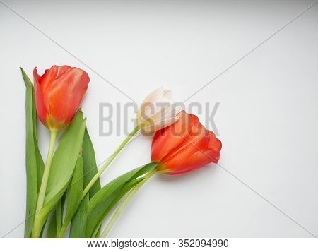 Bouquet Of Tulips With Isolated On White Background. Top View. Copy Space