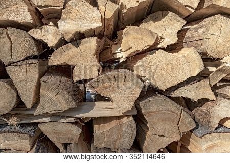Wooden Wall Of Cutted Spruce Wood, Czech Republic