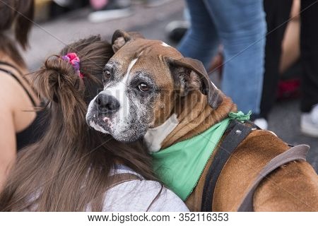 Capital Federal, Buenos Aires / Argentina; Feb 19, 2020: Rally In Favor Of Legal, Safe And Free Abor