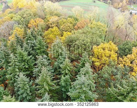 Aerial View Of Forest During Autumn Season And Colors In The Countryside Of Walloon Brabant. Belgium