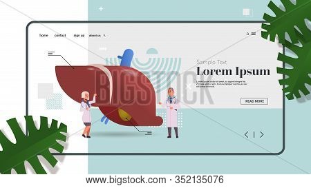 Doctors Couple Examining Liver Medical Consultation Human Internal Organ Inspection Examination Trea