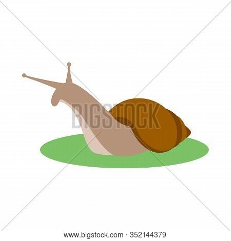 Snail, Vector Illustration, Flat Style Profile Side