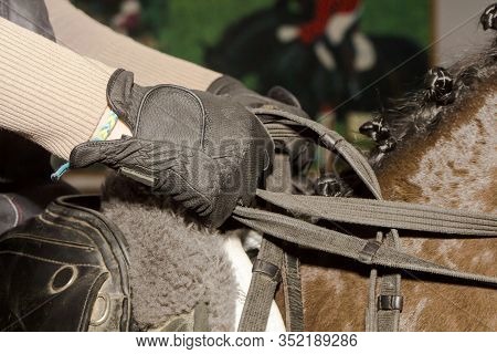 Brushes Rider Gloves Hold Double Reins, Equestrian Training, Dressage Equestrian,