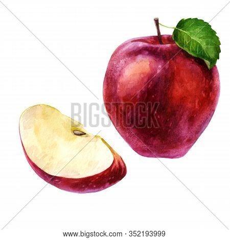 Watercolor Illustration, Set. Watercolor Red Apple And Apple Slice