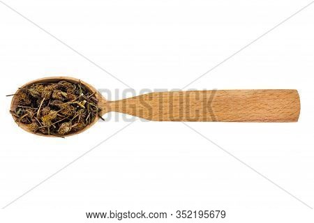 Dried Bidens In A Wooden Spoon On A White Background. Phytotherapy And Disease Prevention. Herbal Co