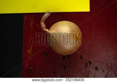 Onion Vegetable Maroon Background Black Background Spices Black  Food Yellow Background