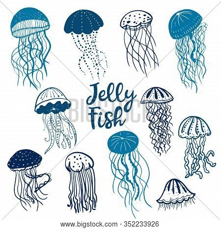 Vector Illustration Of Different Blue Silhouettes Jellyfish