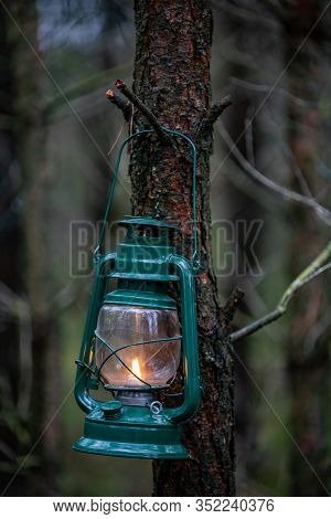 An Oil Lamp Hung On A Branch In The Forest. The Old Method Of Lighting Routes In The Forest.