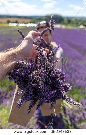 Man Hands A Bag Of Freshly Cut Lavender To A Defoucused Woman On A Bright Summers Day