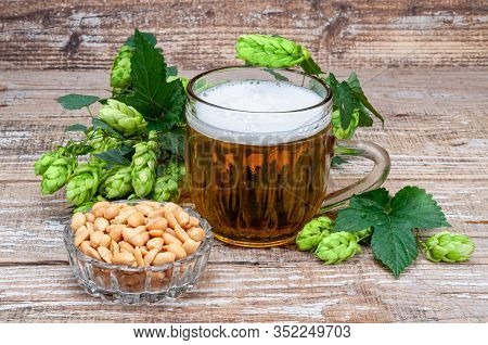 Beer, Nuts And Hops Cones On The Old Wooden Background. Green Line Hops. Foamy Beer Is Poured. Salte
