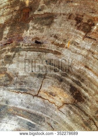 The Surface Of A Stone Wall With A Spot Of Copper Stain.