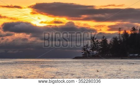 Beautiful Sunrise Over Water An Trees With Ducks On The Water On Vancouver Island, British Columbia,