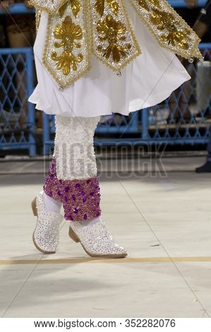 Carnival 2020 - Mangueira