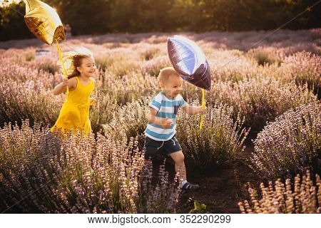 Lovely Caucasian Kids Running Against The Sunshine With Some Balloons Through A Lavender Field