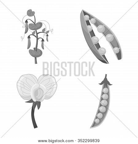 Isolated Object Of Bean And Crop Logo. Set Of Bean And Vegetable Vector Icon For Stock.