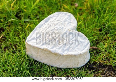 The French Neufchatel Cheese On The Grass