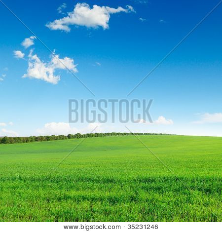 Campo e Sky