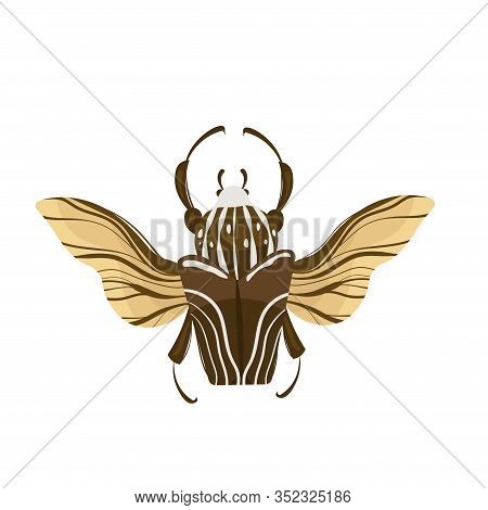 Goliath Beetle. Goliathus Cacicus Vector Hand Drawn Illustration.