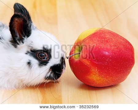 PET výšku