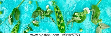 Banner Of Flat Lay Composition With Delicious Fresh Green Peas