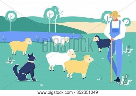 Shepherd With Dog Gaze Sheep On Green Field At Summer Time. Man In Chaff Hat Stand With Long Stick O
