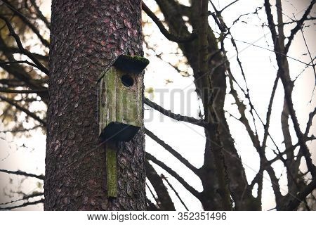 Old Wooden Bird's House Hanging Nailed On Tree