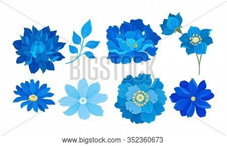 Blue Full-blown Flowers And Leaves Decorative Elements Vector Set
