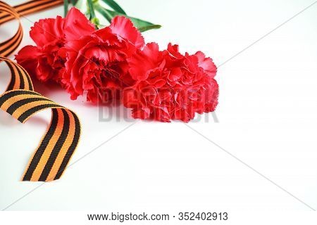 Three Red Carnations And St. George Ribbon (russian Symbol) On A White Uniform Background. Greeting