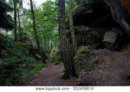 Beautiful Forest Scene Spotted In Saxon Switzerland, Germany