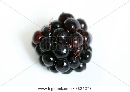 Świeże, dojrzałe Blackberry