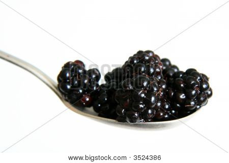 Świeże, dojrzałe Blackberry