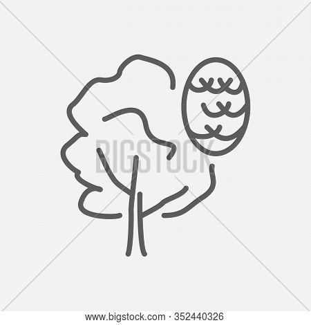 Alder Icon Line Symbol. Isolated Illustration Of Icon Sign Concept For Your Web Site Mobile App Logo
